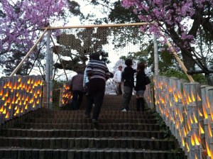 Ogi Park Lantern Festival