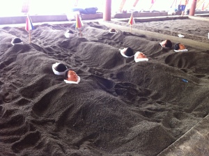 Sand Bath Japan